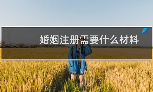 婚姻注册需要什么材料
