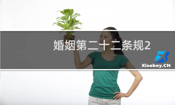 婚姻第二十二条规2