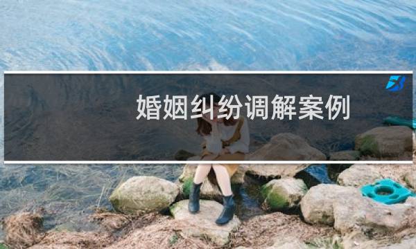 婚姻纠纷调解案例