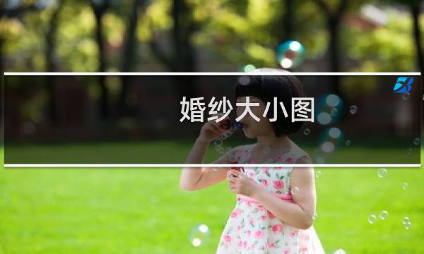 婚纱大小图