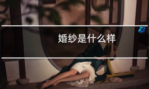 婚纱是什么样