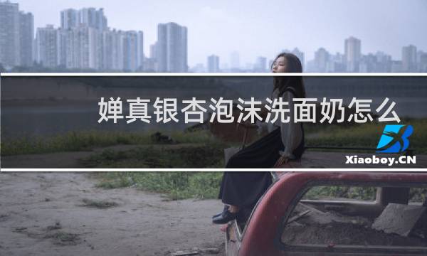 婵真银杏泡沫洗面奶怎么