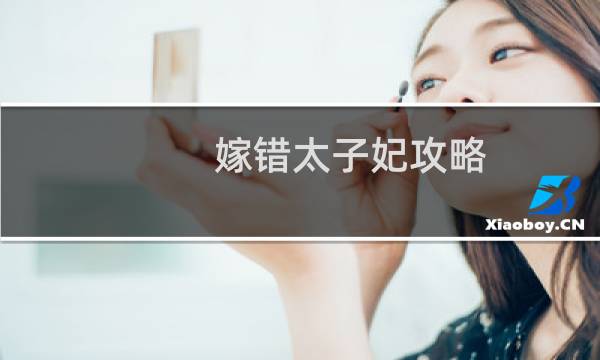 嫁错太子妃攻略