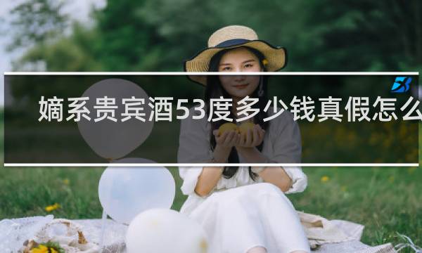 嫡系贵宾酒53度多少钱真假怎么分