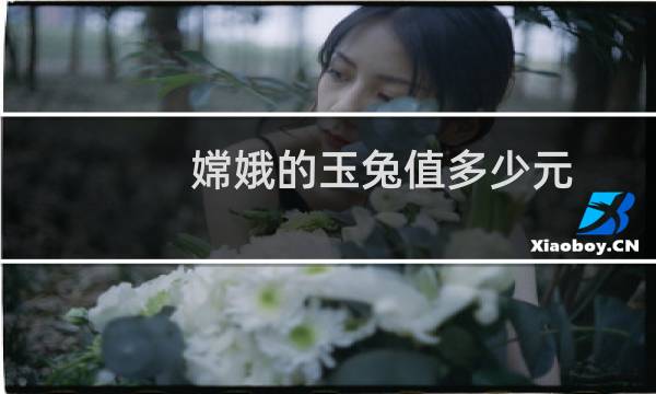 嫦娥的玉兔值多少元