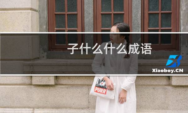 子什么什么成语