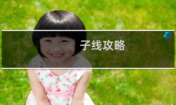 子线攻略