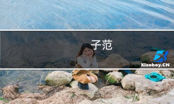 子范 书法价格