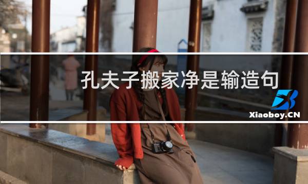 孔夫子搬家净是输造句