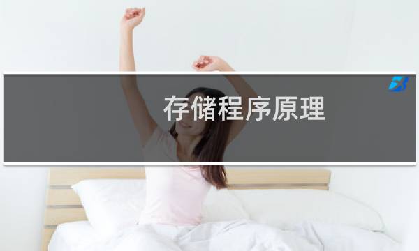 存储程序原理