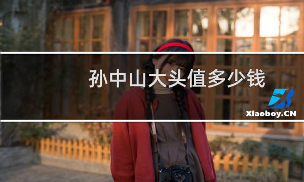 孙中山大头值多少钱