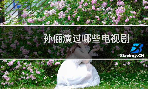孙俪演过哪些电视剧