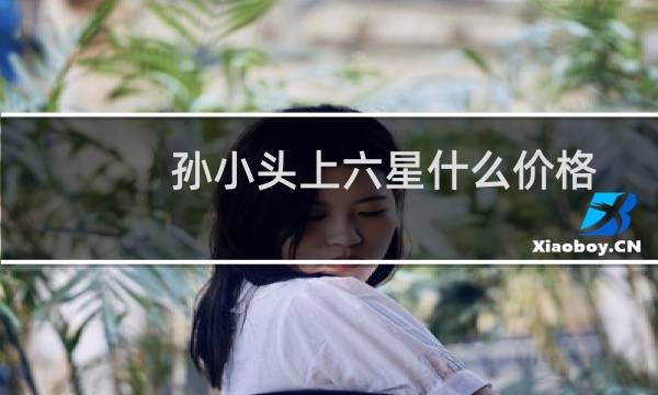 孙小头上六星什么价格