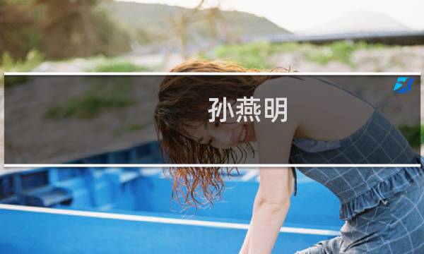 孙燕明 价格