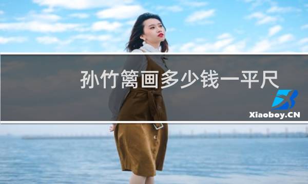孙竹篱画多少钱一平尺