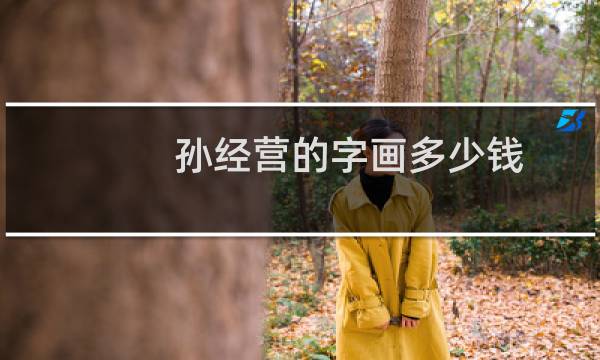 孙经营的字画多少钱