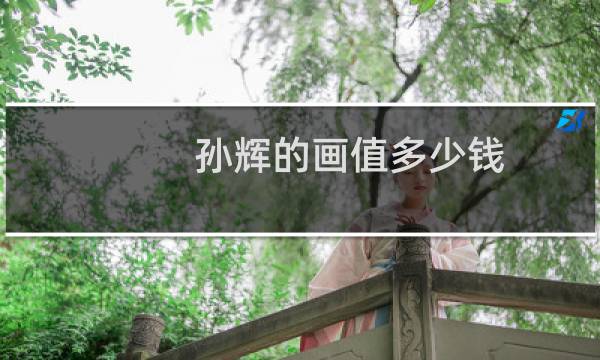孙辉的画值多少钱