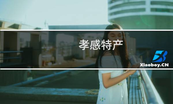 孝感特产 土特产介绍