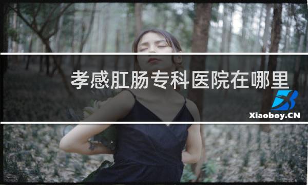 孝感肛肠专科医院在哪里