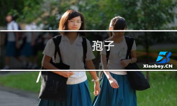 孢子 任务攻略