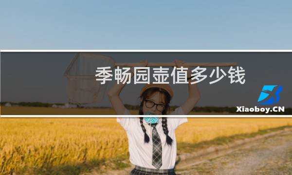 季畅园壶值多少钱