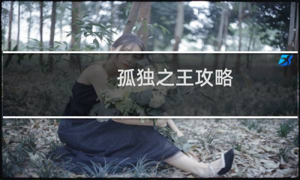 孤独之王攻略