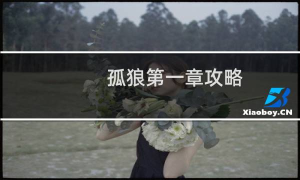 孤狼第一章攻略