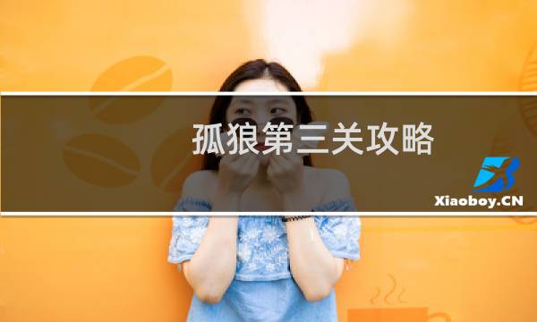 孤狼第三关攻略