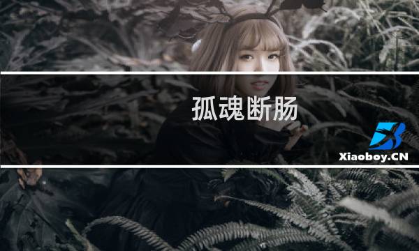 孤魂断肠 攻略