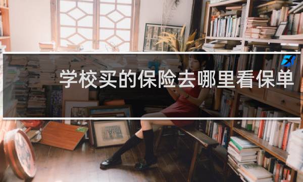 学校买的保险去哪里看保单