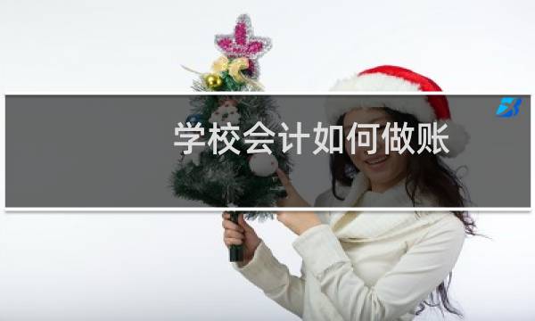 学校会计如何做账