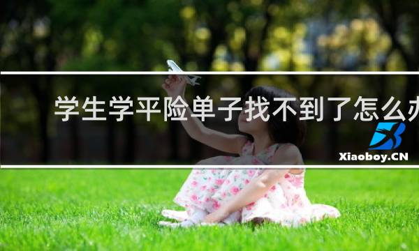 学生学平险单子找不到了怎么办