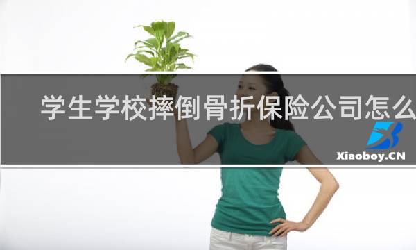 学生学校摔倒骨折保险公司怎么赔