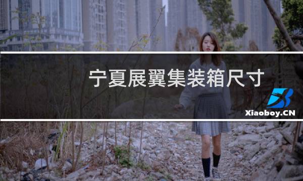 宁夏展翼集装箱尺寸