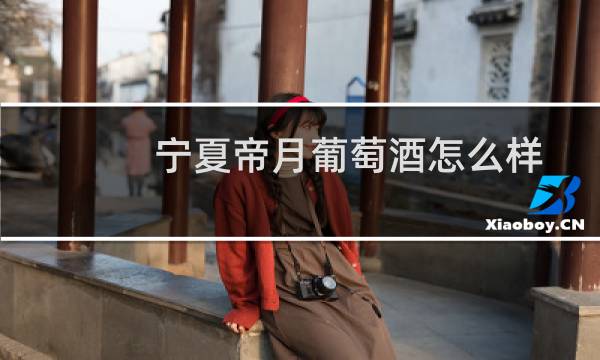 宁夏帝月葡萄酒怎么样