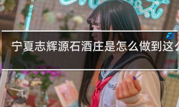 宁夏志辉源石酒庄是怎么做到这么大