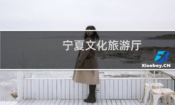 宁夏文化旅游厅 刘军