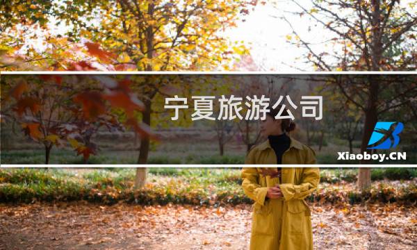 宁夏旅游公司