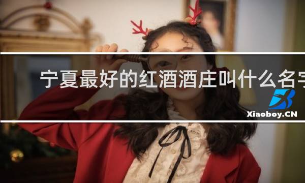 宁夏最好的红酒酒庄叫什么名字