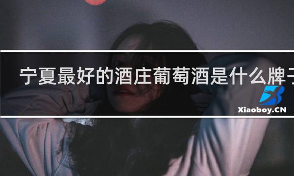 宁夏最好的酒庄葡萄酒是什么牌子的