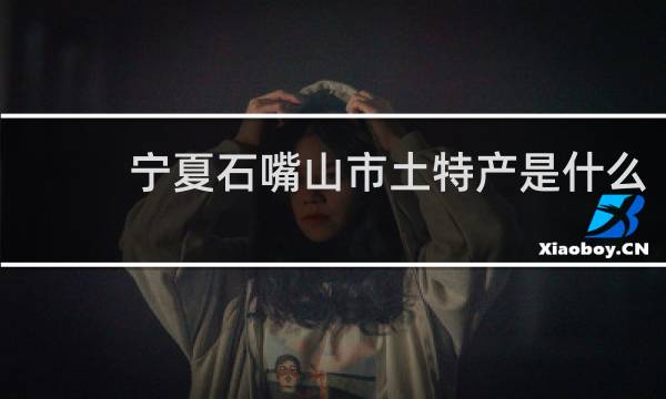 宁夏石嘴山市土特产是什么