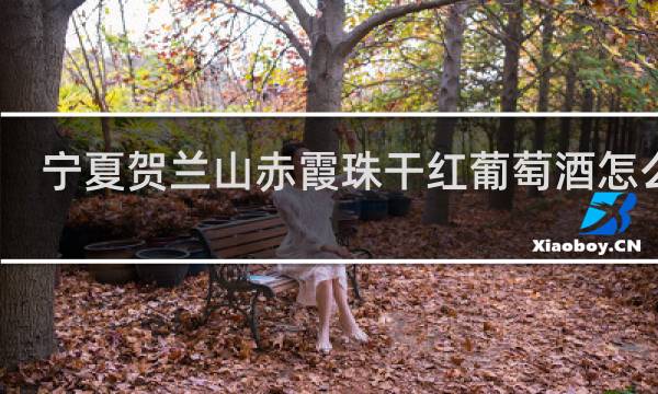 宁夏贺兰山赤霞珠干红葡萄酒怎么样