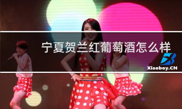 宁夏贺兰红葡萄酒怎么样