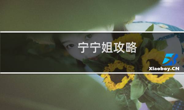 宁宁姐攻略
