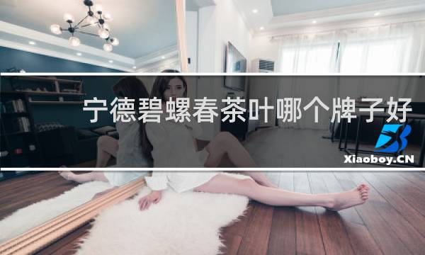 宁德碧螺春茶叶哪个牌子好