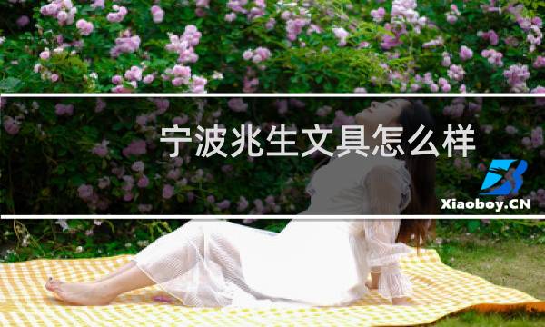 宁波兆生文具怎么样