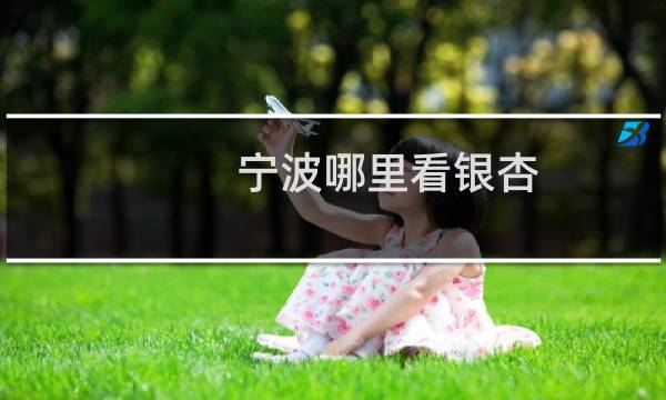 宁波哪里看银杏