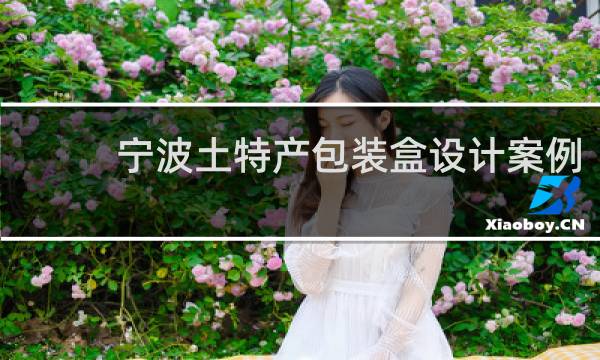 宁波土特产包装盒设计案例