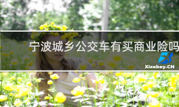 宁波城乡公交车有买商业险吗