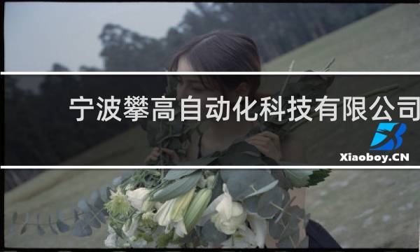 宁波攀高自动化科技有限公司